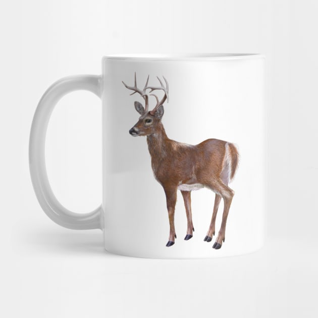 Whitetail Deer Buck by Dual Rogue